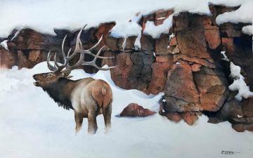 Elk by Brian Turner
