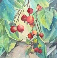 BASICS Introduction to Watercolour Painting – Fall 2026